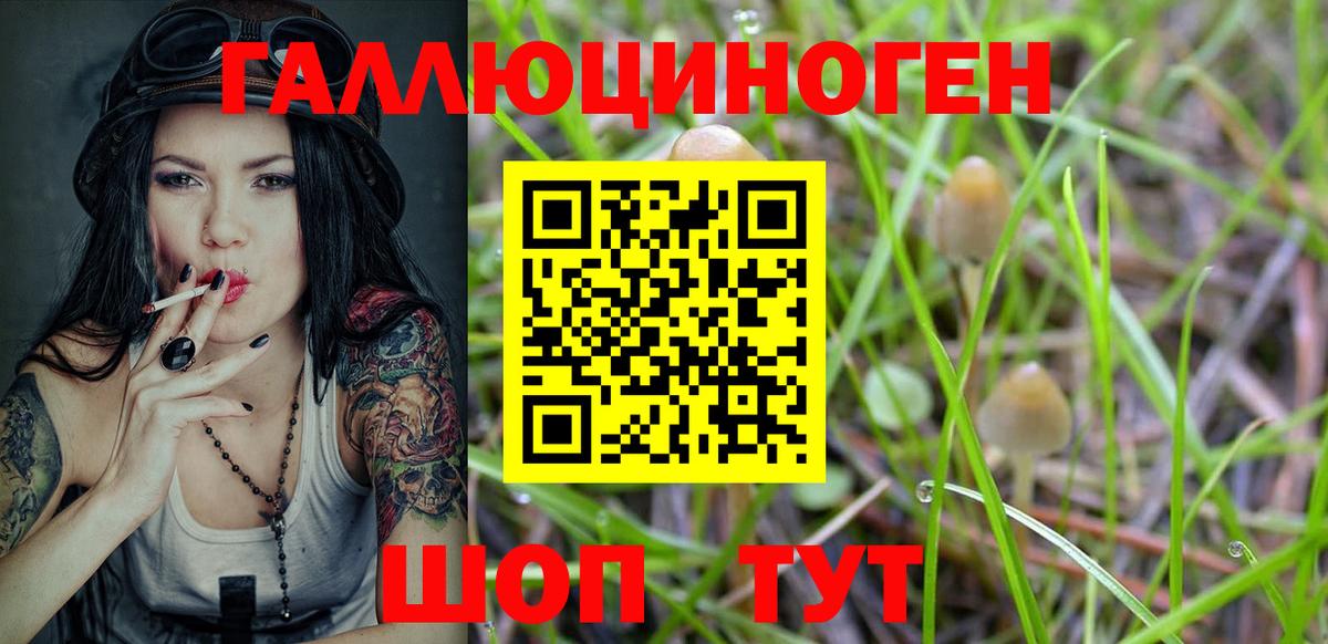 Домодедово  Псилоцибиновые грибы мицелий  Вход с VPN 